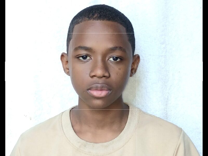 Developpeur web aux Comores